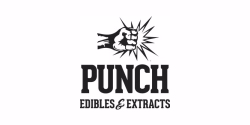 The Punch logo